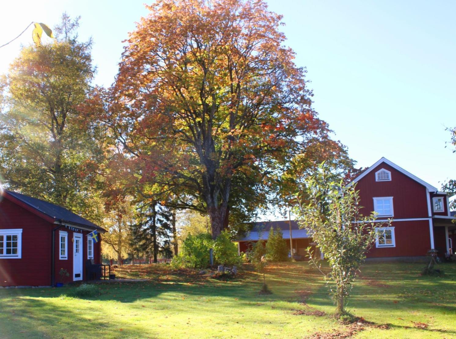 Stuga Gasstorp Hova Luaran gambar